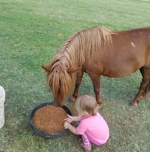 Meet your Posher, Kimberly
